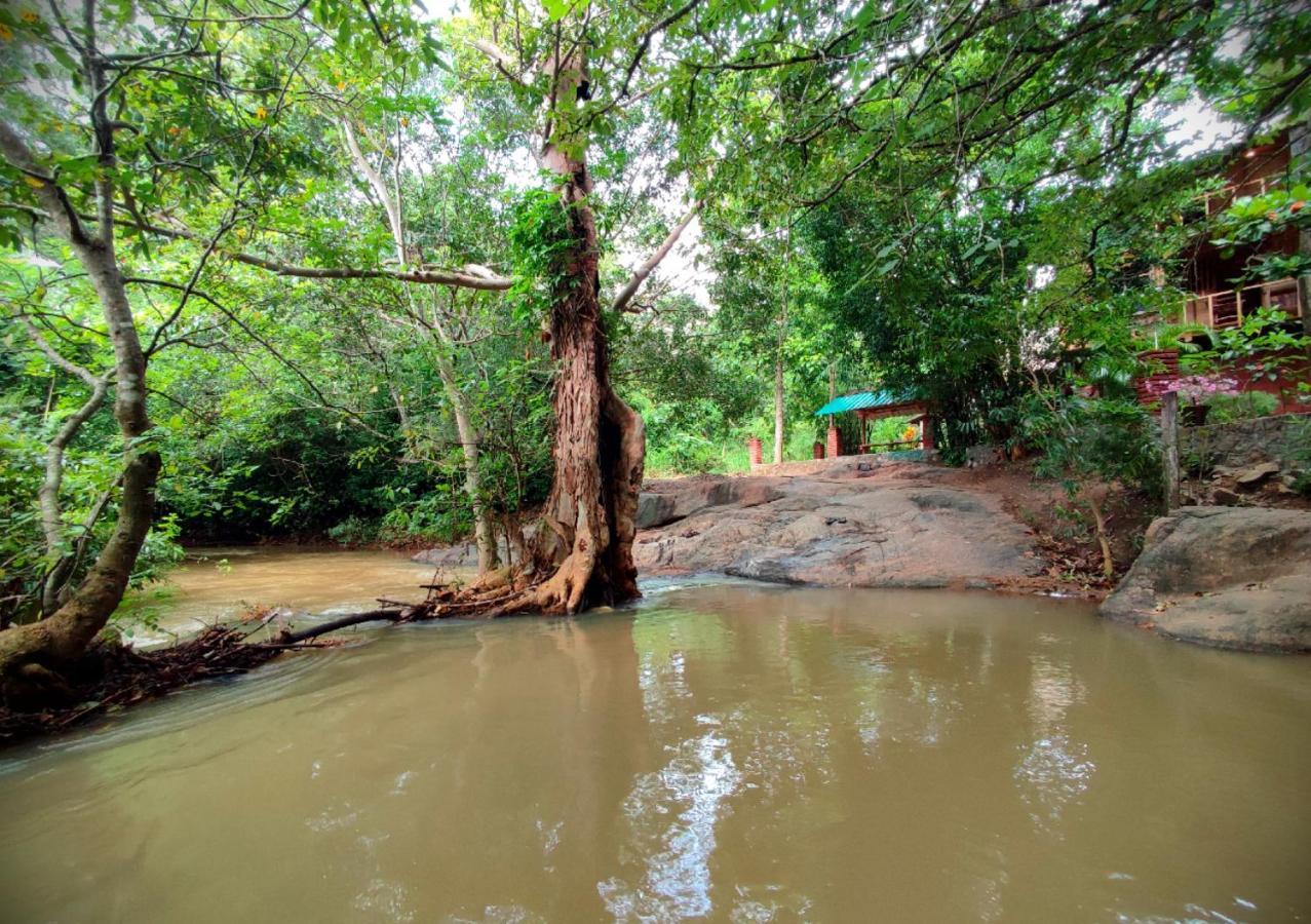 Sigiriya River Side Villa Eksteriør billede