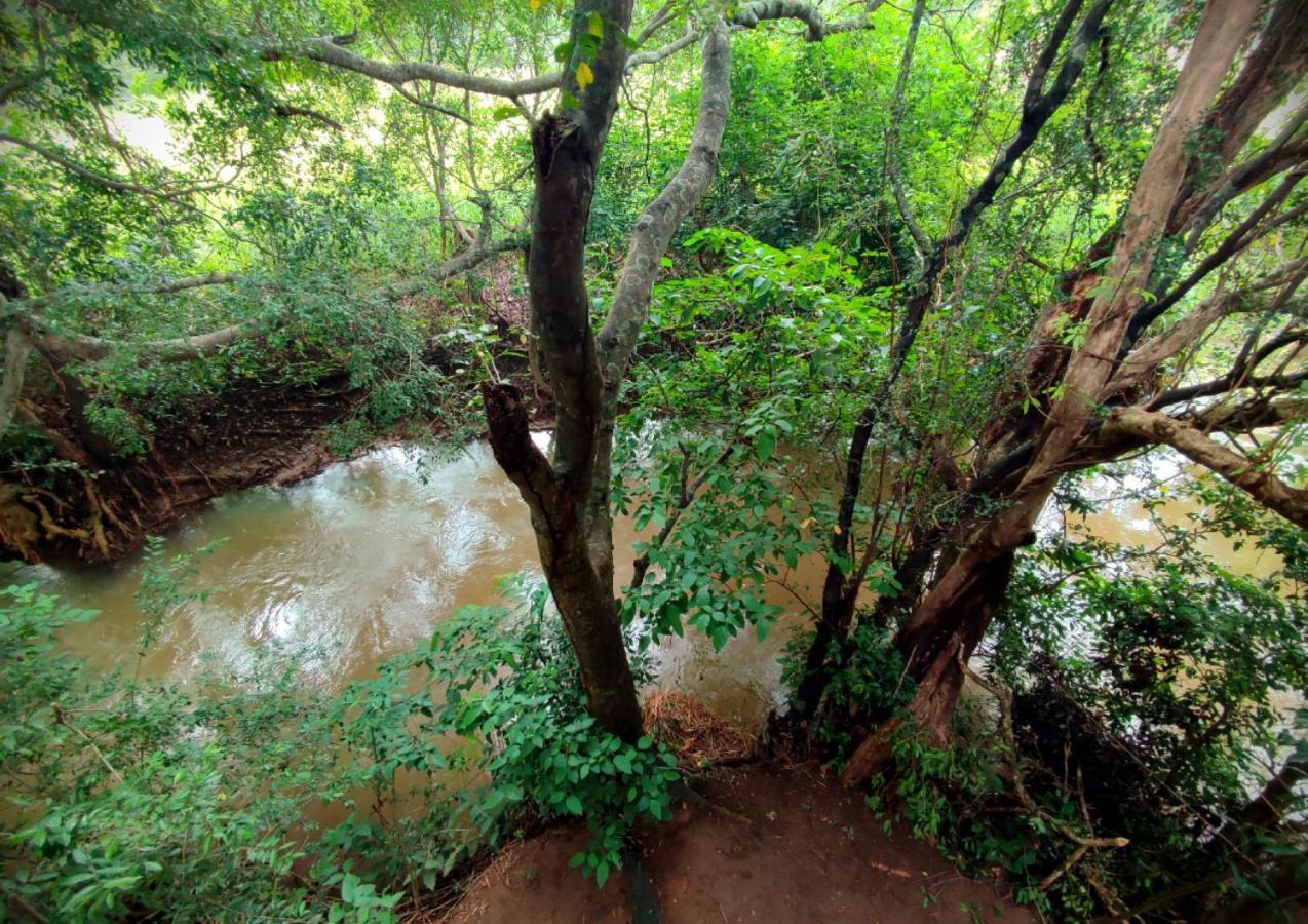 Sigiriya River Side Villa Eksteriør billede