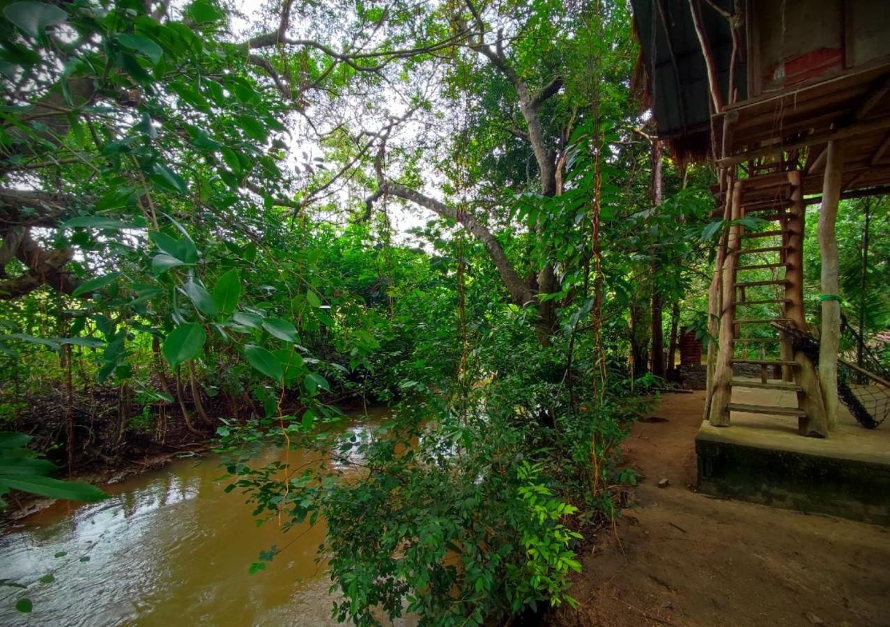 Sigiriya River Side Villa Eksteriør billede