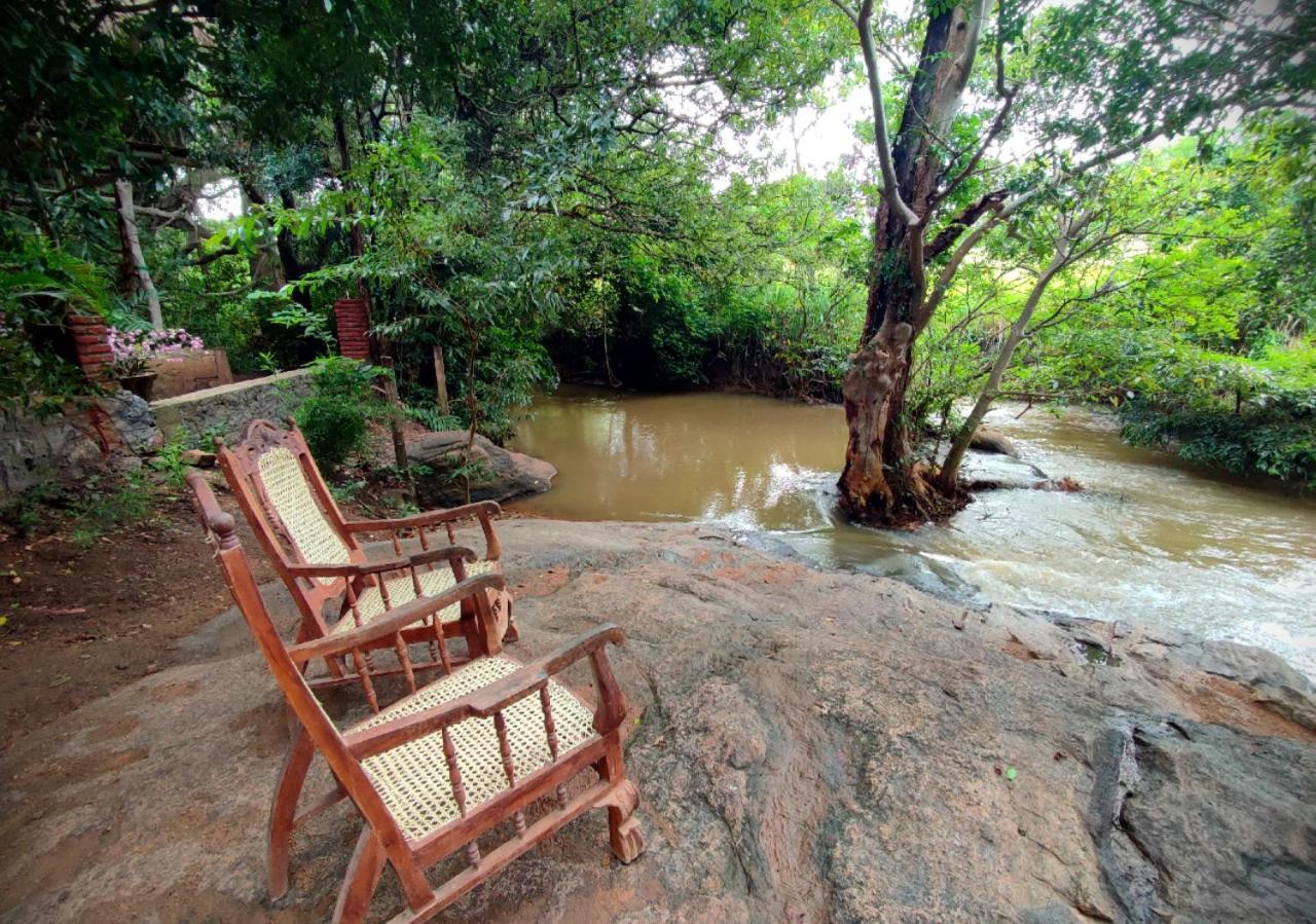 Sigiriya River Side Villa Eksteriør billede