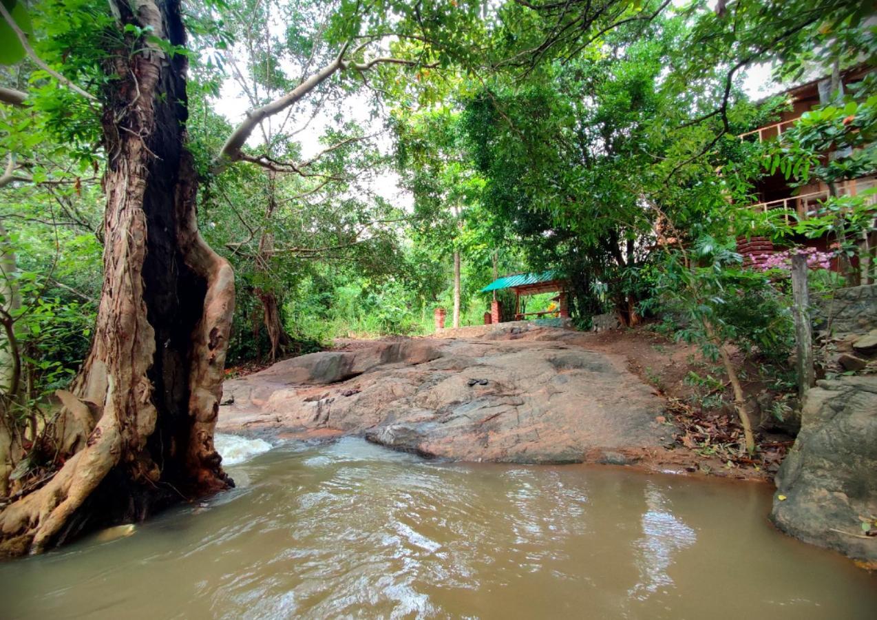 Sigiriya River Side Villa Eksteriør billede