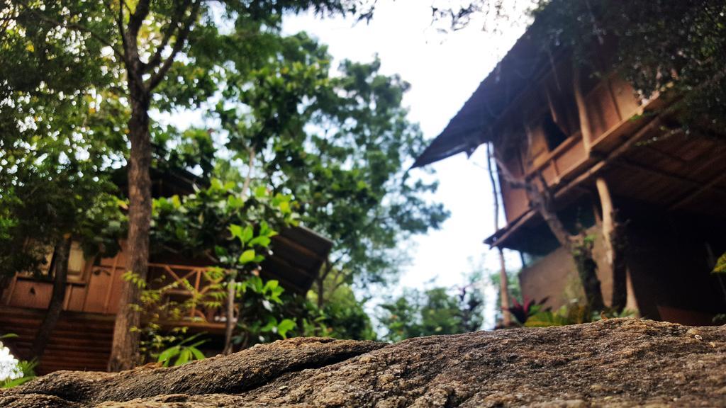 Sigiriya River Side Villa Eksteriør billede
