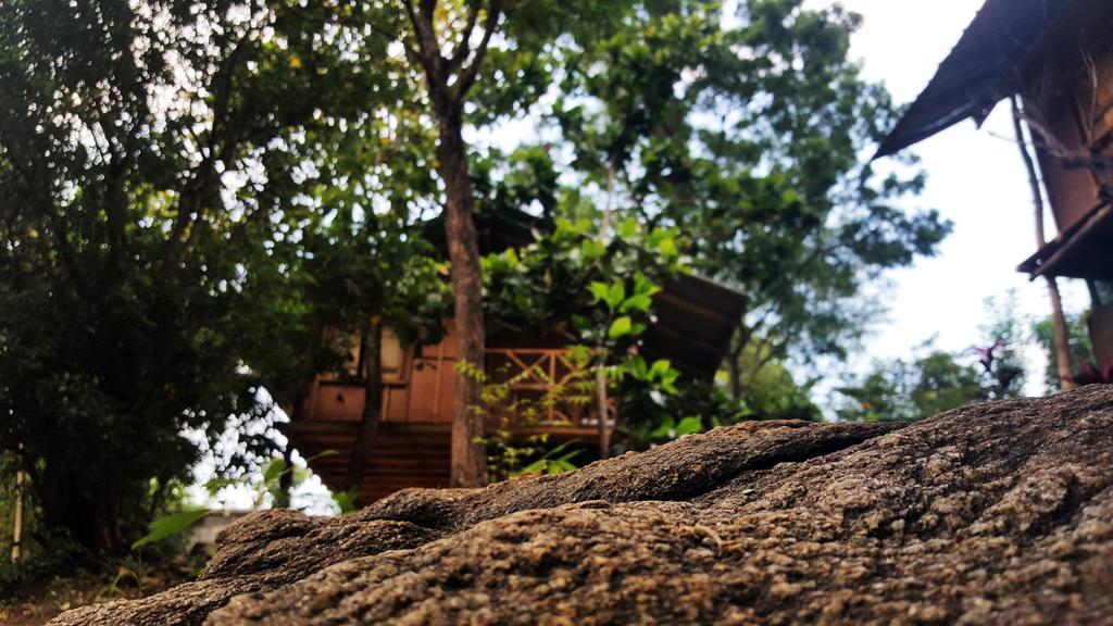 Sigiriya River Side Villa Eksteriør billede